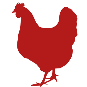 Class Rooster